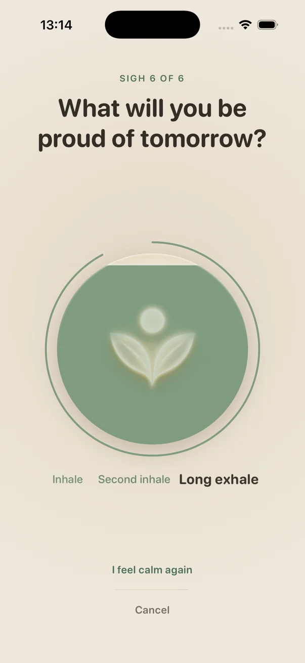 The reset at the last sigh, the vessel filled with sage green, asking what will you be proud of tomorrow.