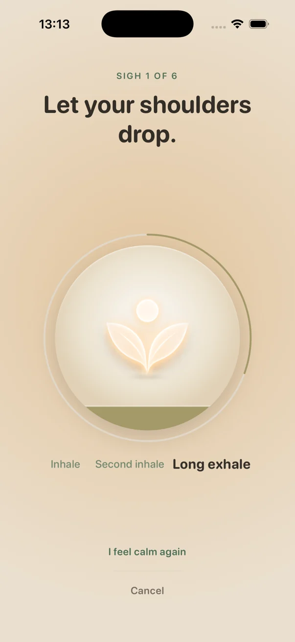 The reset at the first sigh, the vessel almost empty, phase labels reading inhale, second inhale, long exhale.